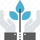 expand, flower, growth, hands, investment, nature, plant