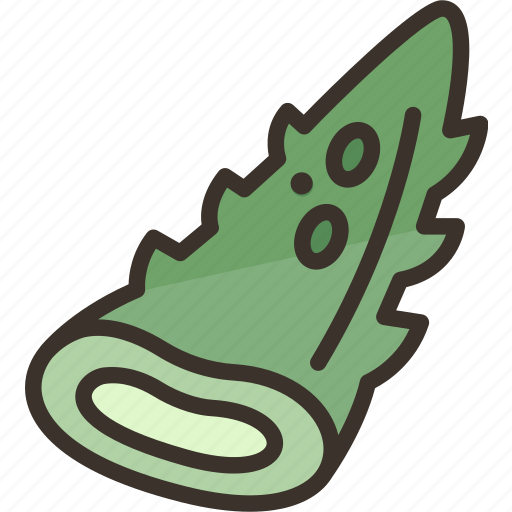 Aloe, vera, gel, ingredient, fresh icon - Download on Iconfinder