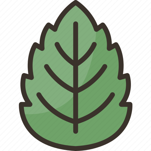 Mint, leaves, herbal, ingredients, aromatic icon - Download on Iconfinder