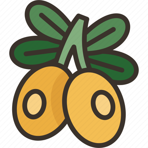 Olive, oil, extract, vitamin, natural icon - Download on Iconfinder