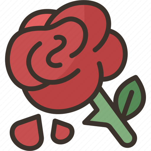 Rose, flower, fragrance, scent, beauty icon - Download on Iconfinder