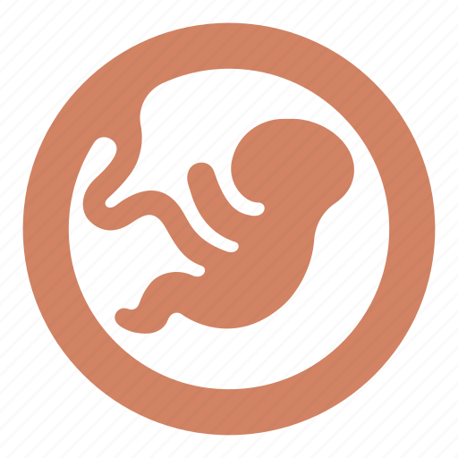 Baby, embryo, mother, pregnancy icon - Download on Iconfinder