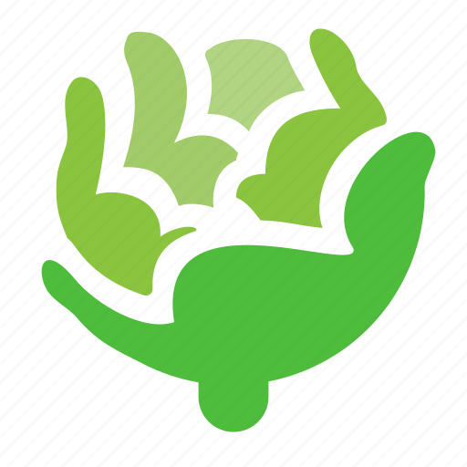 Cabbage, vegetable, food, healthy icon - Download on Iconfinder