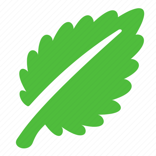 Grass, eco, green, leaf icon - Download on Iconfinder
