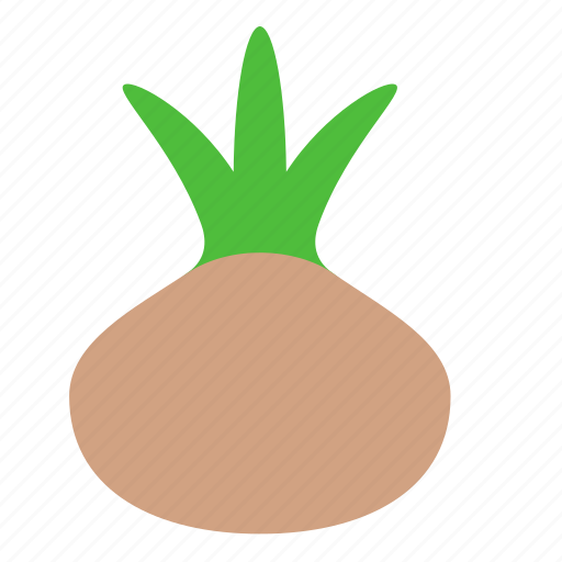 Onion, vegetable, cooking, ingredient icon - Download on Iconfinder