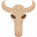 buffalo, skull, bull, horn, decoration