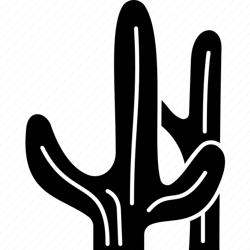 Cactus, desert, thorn, plant, botanical icon - Download on Iconfinder