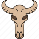 buffalo, skull, bull, horn, decoration