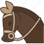 horse, equestrian, animal, ride, pasture 