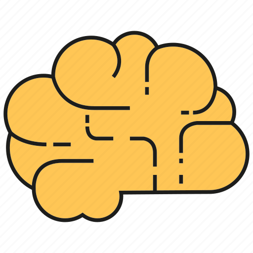 Brain, creative, idea, intelligence, organ, smart, thinking icon - Download on Iconfinder