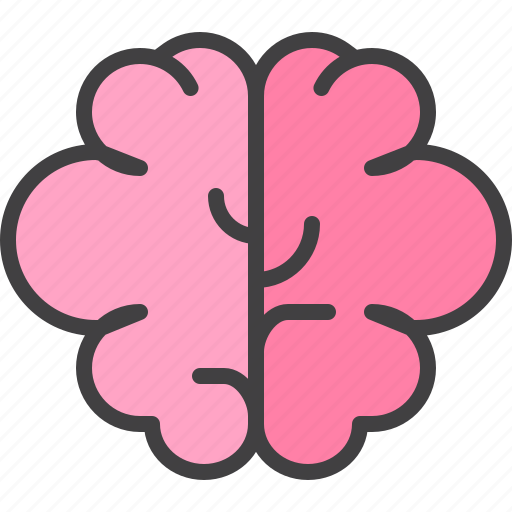 Brain, intellect, human, idea icon - Download on Iconfinder