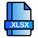 extension, file, format, xlxs