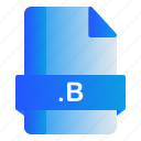 b, extension, file, format 