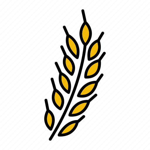 Cooking, crop, food, grain, restaurant, rice, wheat icon - Download on Iconfinder