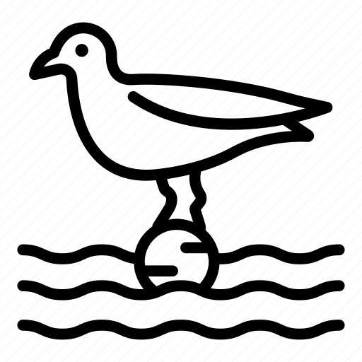Animal, bird, pet, pigeon, sea, seagull, wild icon - Download on Iconfinder