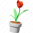 flower, grow, plant, pot, rose, gardening, agriculture, farming, nature