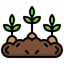 sprout, tree, nature, farming, gardening, growing, seed
