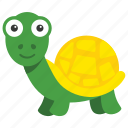 animal, reptile, terrapin, tortoise, turtle