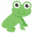 amphibian, animal, chameleon, frog, toad