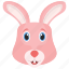 animal, bunny, cony, hare, rabbit 