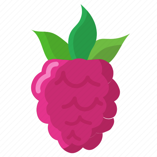 Food, fruit, organic, raspberry, sweet icon - Download on Iconfinder