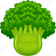 broccoli, vector, cute, healthy, agriculture, food, nature, vegetable, fresh 