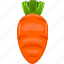 carrot, vector, cute, healthy, agriculture, food, nature, vegetable, fresh 