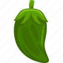 green, chili, vector, cute, healthy, agriculture, food, nature, vegetable
