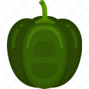 green, pepper, vector, cute, healthy, agriculture, food, nature, vegetable