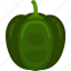 green, pepper, vector, cute, healthy, agriculture, food, nature, vegetable 