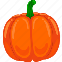 pumpkin, vector, cute, healthy, agriculture, food, nature, vegetable, cartoon