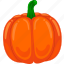 pumpkin, vector, cute, healthy, agriculture, food, nature, vegetable, cartoon 