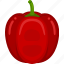 red, pepper, vector, cute, agriculture, food, vegetable, cartoon 