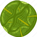 cabbage, vector, cute, healthy, agriculture, food, nature, vegetable, fresh