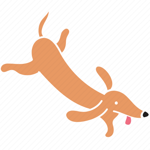 Animal, breed, dachshund, dog, fly, pet icon - Download on Iconfinder