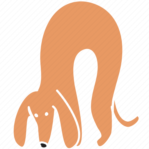 Animal, breed, dachshund, dog, hump, hunch, pet icon - Download on Iconfinder