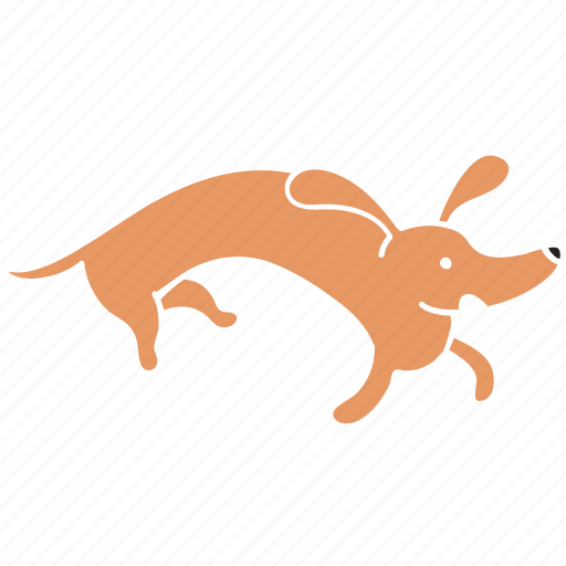 Animal, breed, crazy, dachshund, dog, pet, run icon - Download on Iconfinder