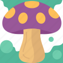 mushroom, poisonous, toxic, wild, plant