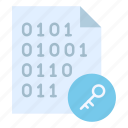 encrypt, binary code, binary messages, key
