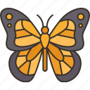 butterfly, monarch, muertos, souls, return