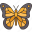 butterfly, monarch, muertos, souls, return 