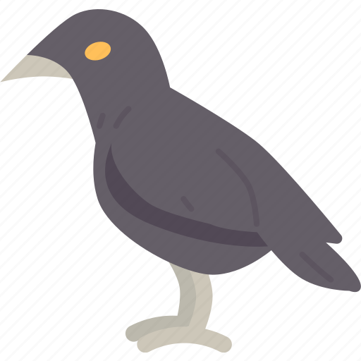 Crow, bird, carrion, raven, halloween icon - Download on Iconfinder