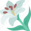 lilies, flower, blossom, flora, decoration 