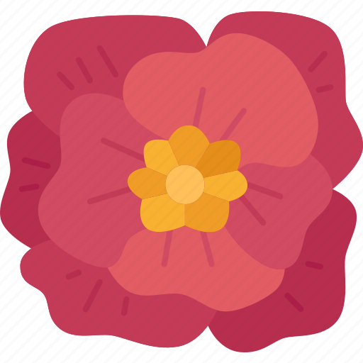 Poppies, flower, blossom, memorial, nature icon - Download on Iconfinder