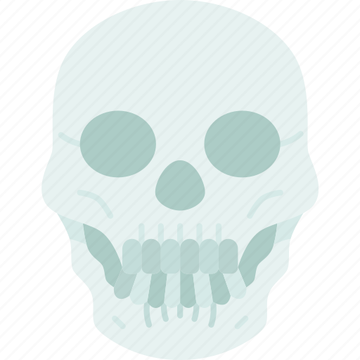 Skull, death, human, head, horror icon - Download on Iconfinder