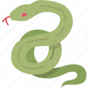 snake, serpent, venom, animal, wildlife