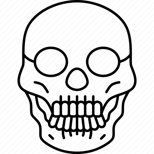 Skull, death, human, head, horror icon - Download on Iconfinder