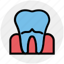 dental, dentist, pain, stomatology, teeth, tooth