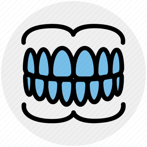 Care, dental, dentistry, gums, oral, stomatology, teeth icon - Download on Iconfinder
