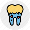 dental, dentist, stomatology, teeth, tooth
